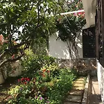 Ana フヴァル